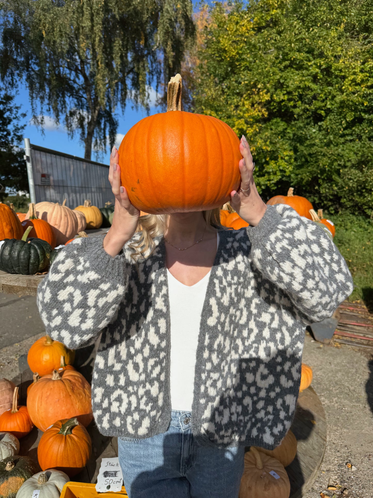 Cardigan Soft Leo Dream Knit - grau