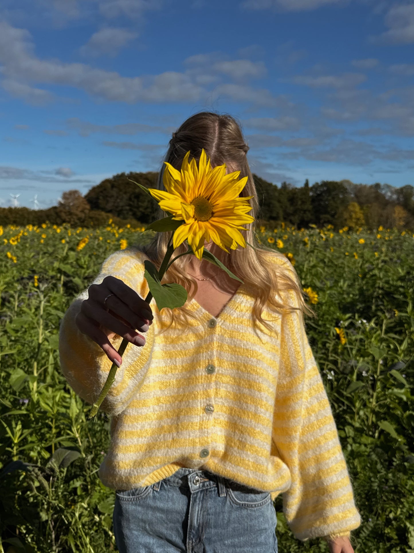 Cardigan Stripe V-Neck Linn - gelb