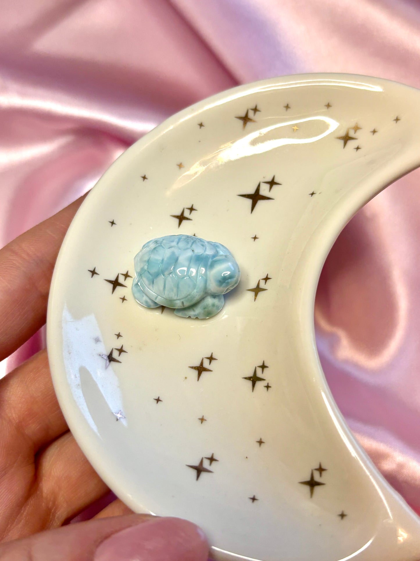 Larimar Schildkröte