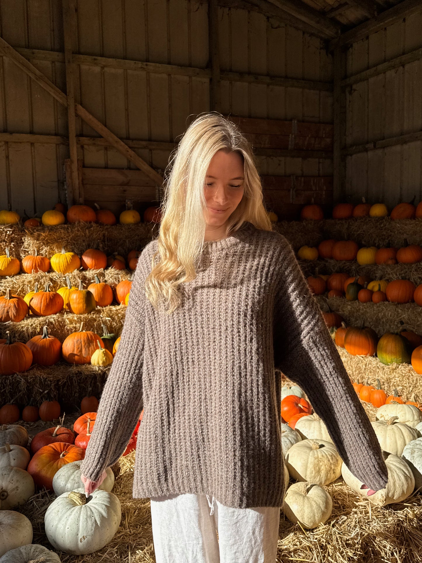 Cardigan Chestnut Dream Knit - taupe