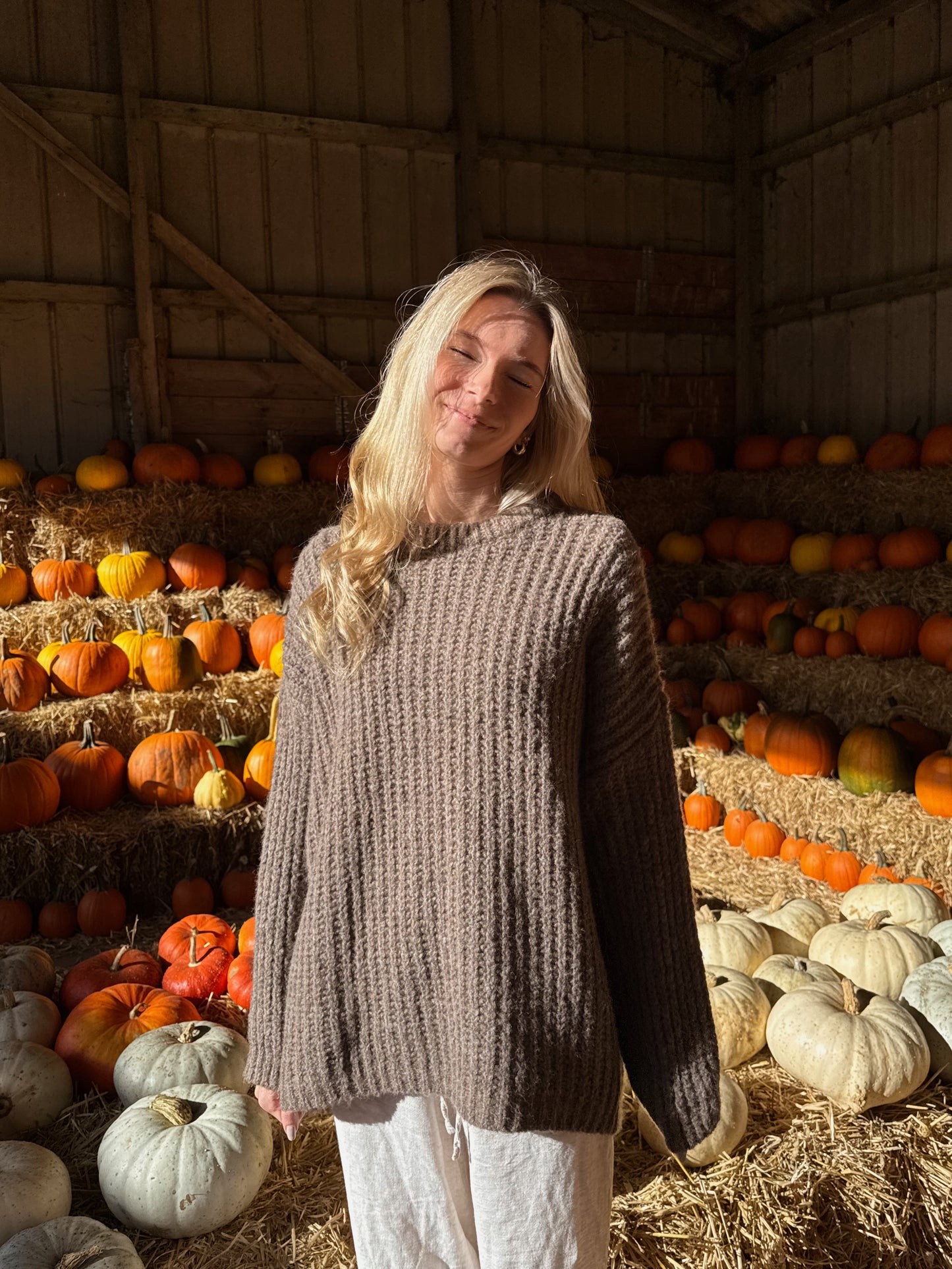 Cardigan Chestnut Dream Knit - taupe