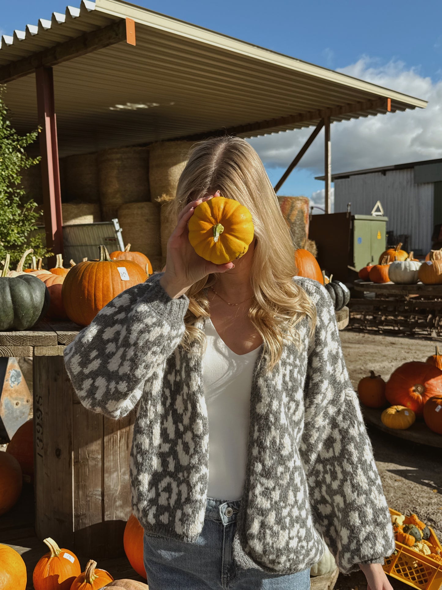 Cardigan Soft Leo Dream Knit - grau