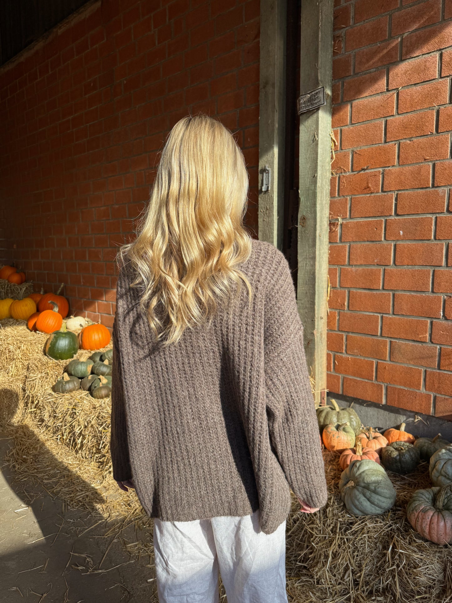 Cardigan Chestnut Dream Knit - taupe