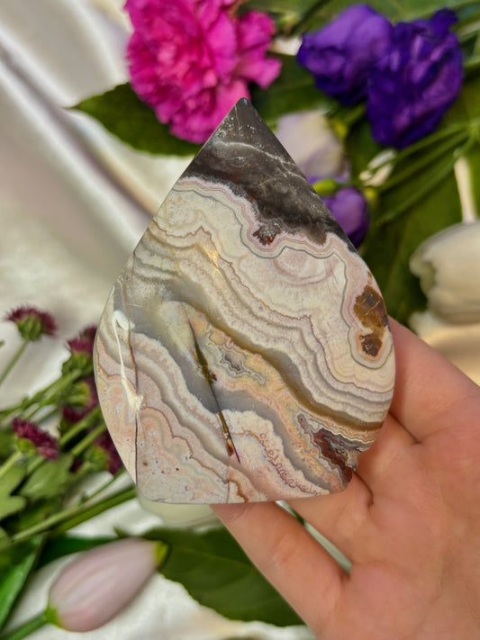 Mexican Agate Freiform